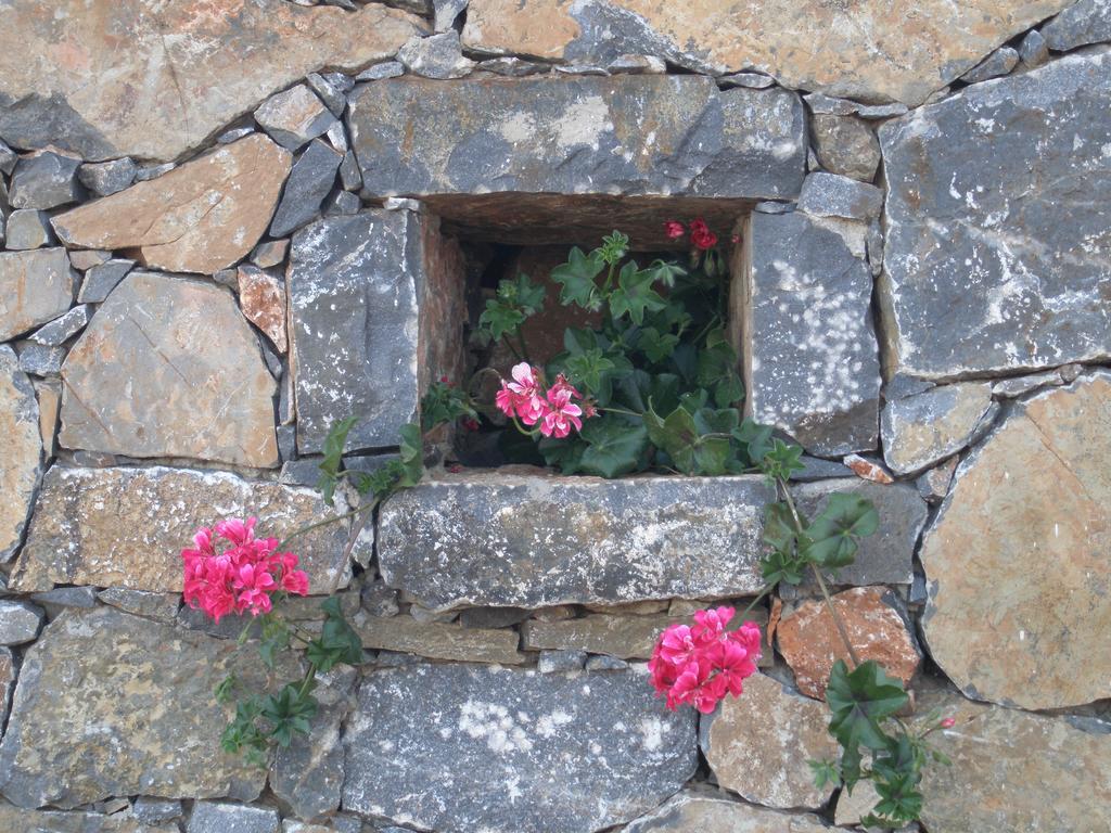 Villa Tholos Crete Kavoúsion Eksteriør bilde